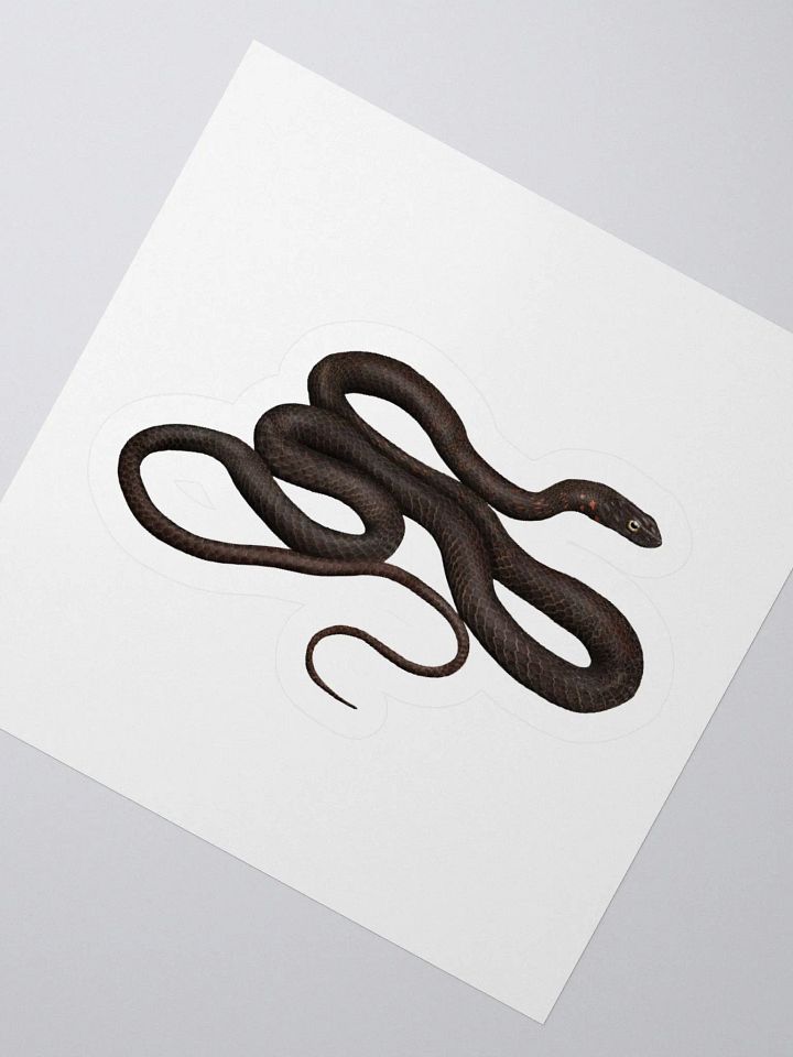 Die-Cut Sticker – Black Coachwhip product image (2)