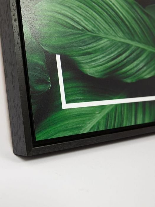 Expressions product image (3)