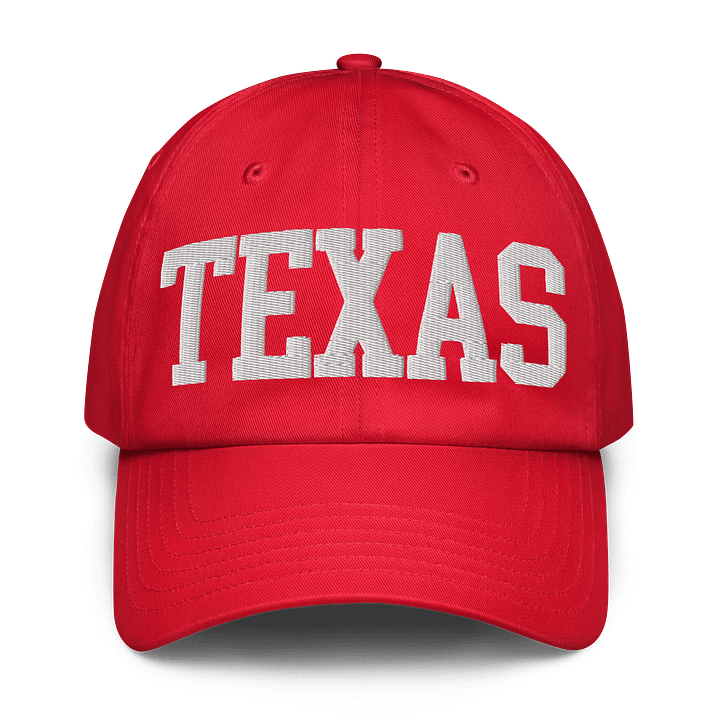 Texas State Embroidered Hat by Under Armour product image (13)