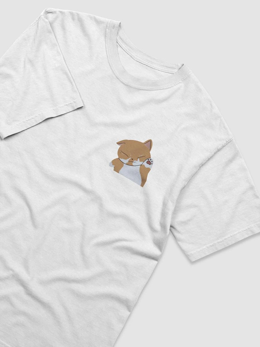 Plain White T? product image (3)