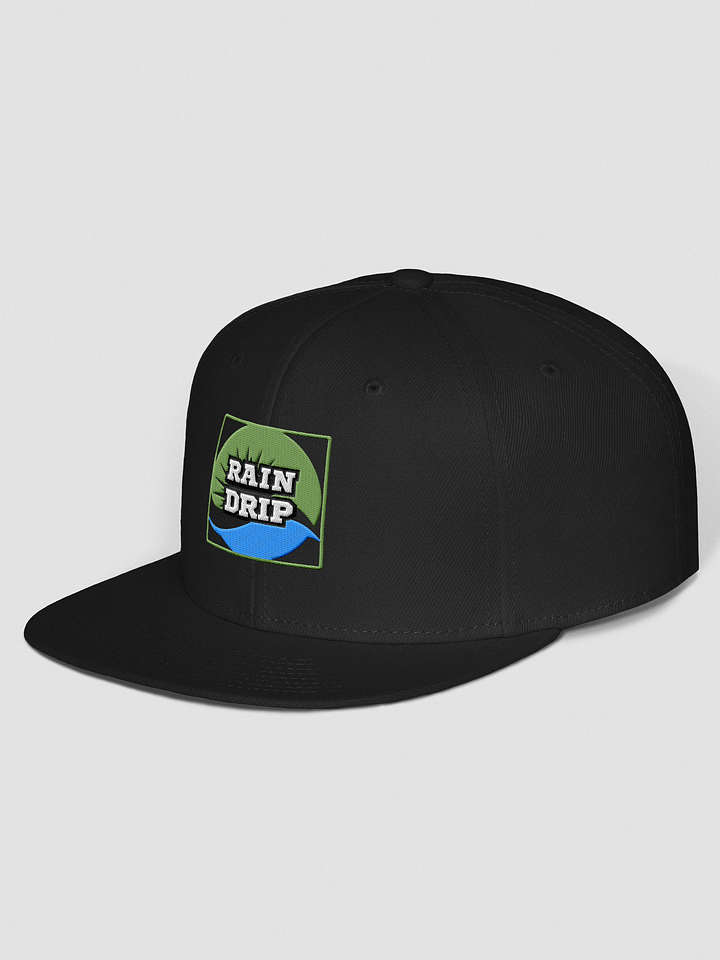 Leafy Drip Wool Snapback product image (2)