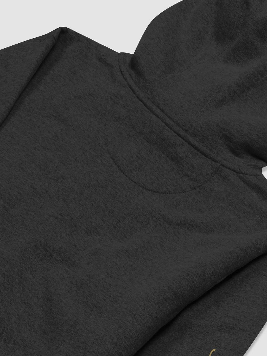 Starlost Seas Logo Hoodie product image (4)