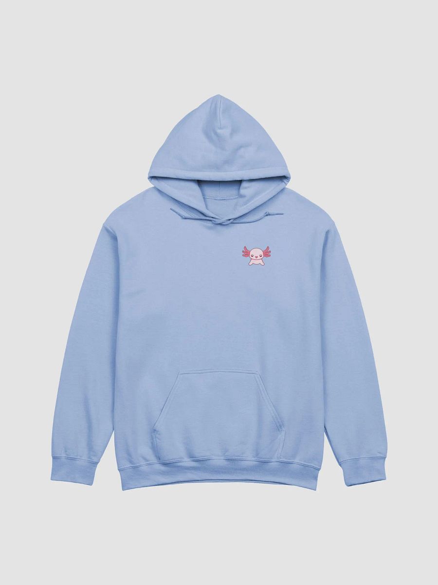 Discord Server AxoCultl Hoodie product image (3)