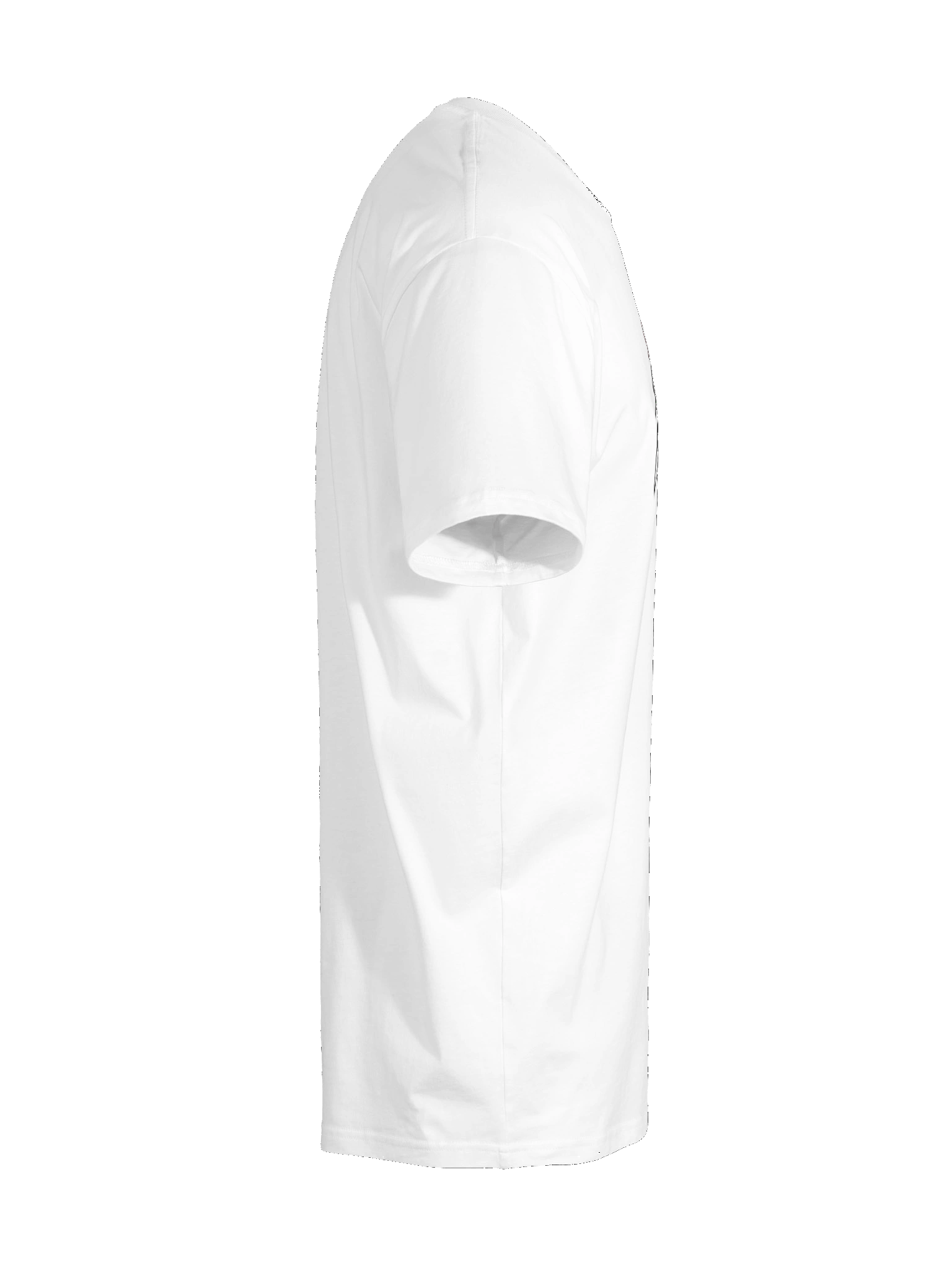 Stand Up Stand Out T product image (10)