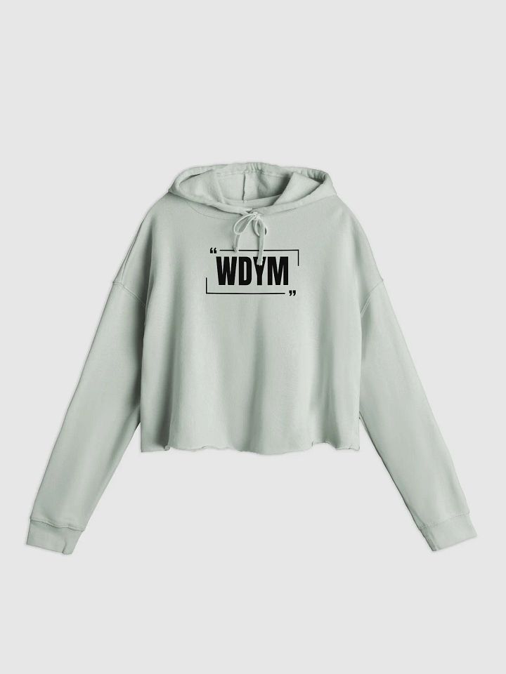 WDYM Speech Women's Crop Hoodie product image (2)