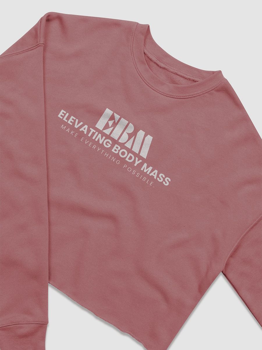 EBM Women's Fleece Crop Sweatshirt (White Logo) product image (29)