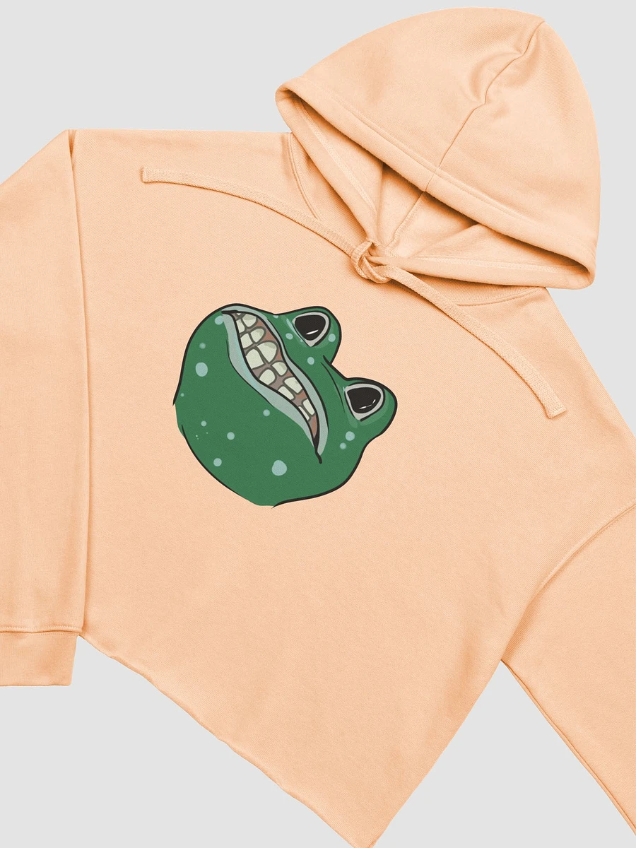 Shitterfrog fleece crop hoodie product image (4)