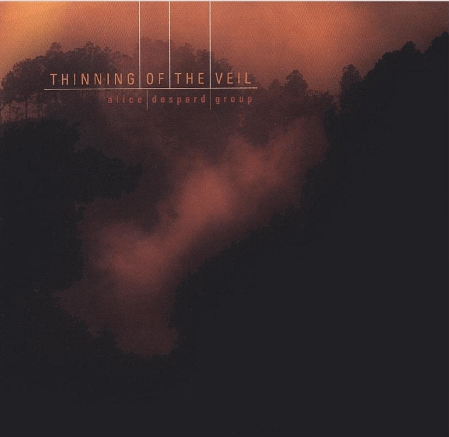 Superfine Comb (track) product image (1)
