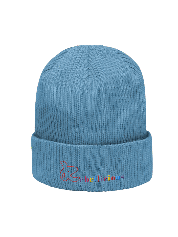 Rebellicious Freedom Beanie product image (28)