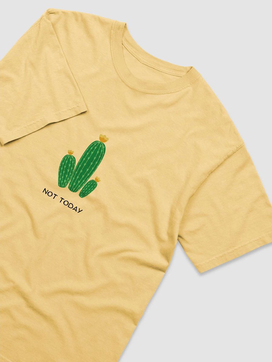 Not Today Cactus T-Shirt product image (12)