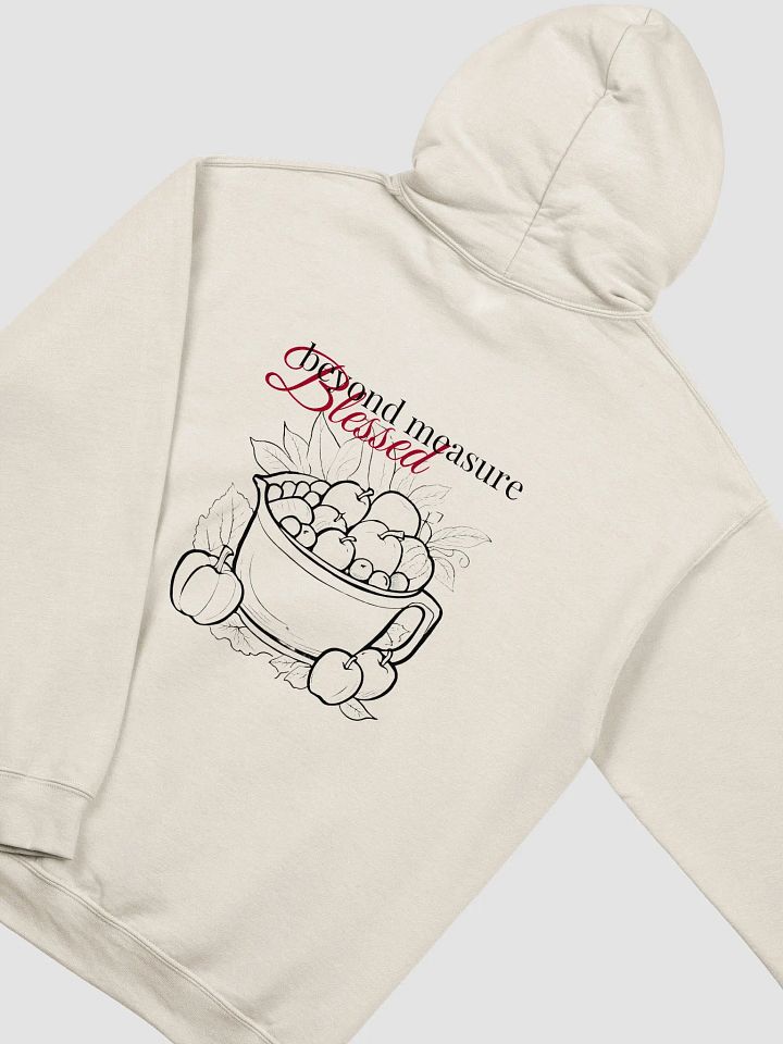 Blessed Beyond Measure Hoodie product image (1)