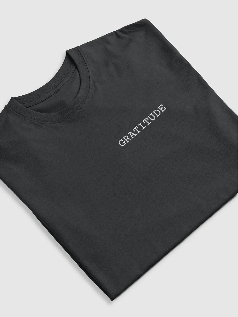 Gratitude t-shirt product image (5)