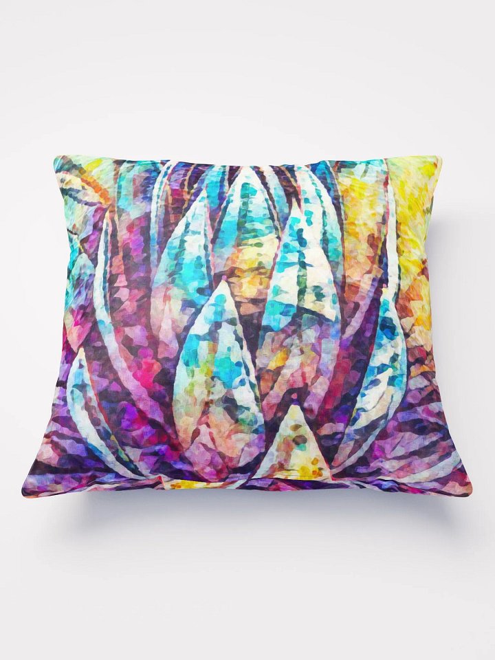 Abstract Graphic | Pillow 22