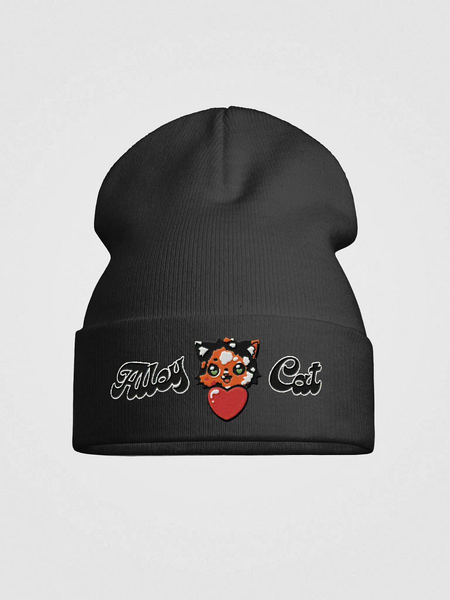 Alleycat Hand-drawn Embroidered Otto Knit Beanie product image (2)