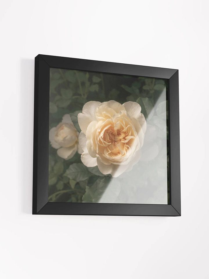 Favorite Rose product image (2)
