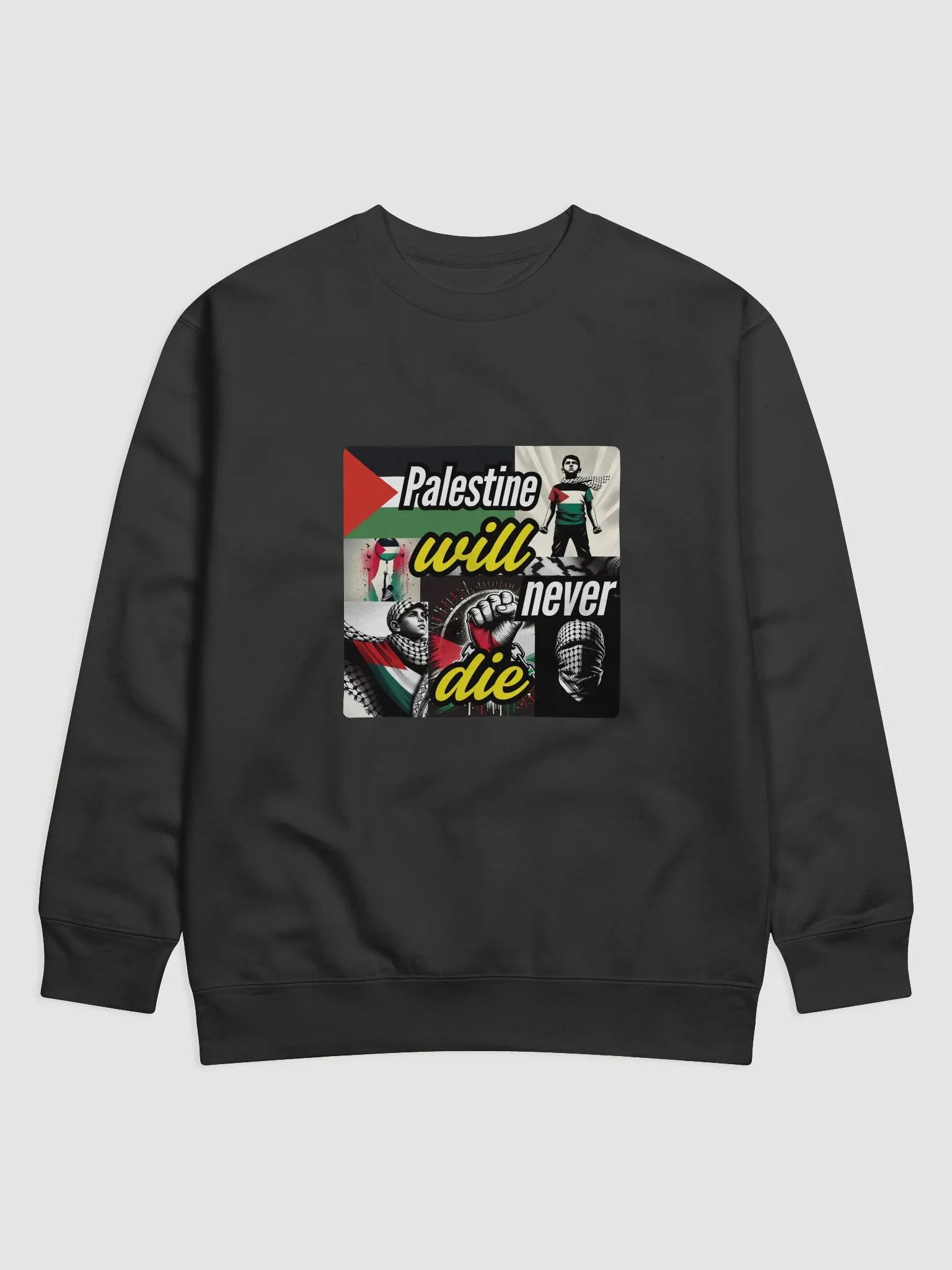 Resilience Unleashed Sweatshirt | Palestine will never die product image (9)
