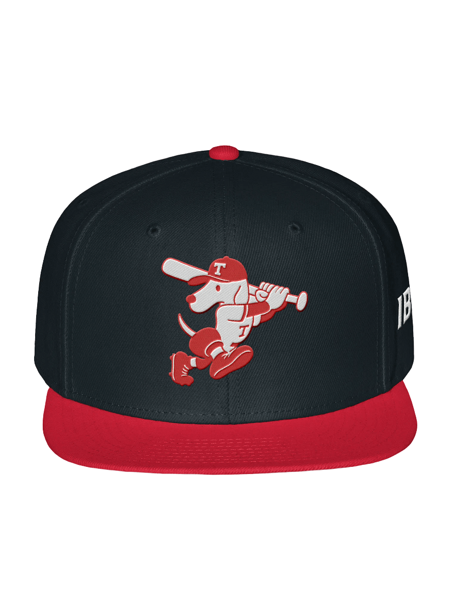Galt Terriers Legacy Cap product image (3)