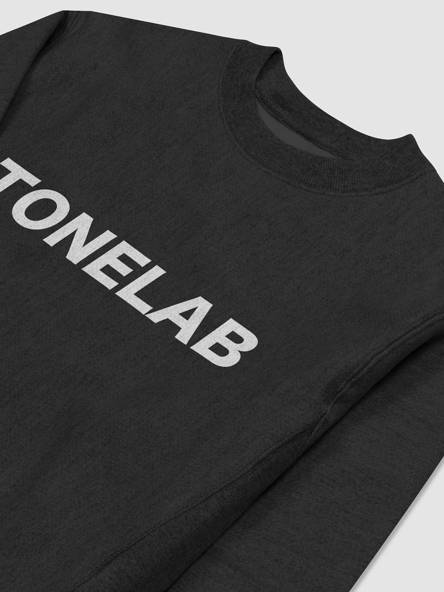 TONELAB Champion Max Sweatshirt product image (3)
