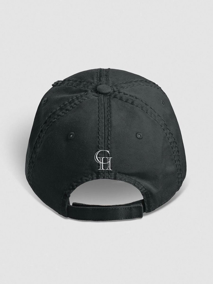 Curious History Distressed Cap Version 1 product image (4)
