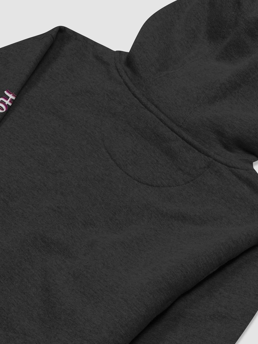 Ho_And_The_Bros Rainbow Logo Hoodie. product image (37)