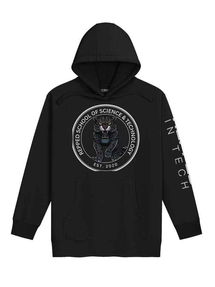 Vintage Repped School of Science & Technology Hoodie product image (1)