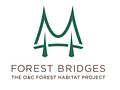 Forest Bridges