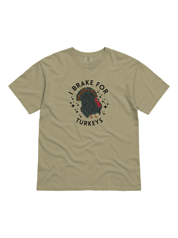 I Brake for Turkeys T Shirt - Funny Cambridge Wildlife Shirt | Local Humor Gift product image (1)