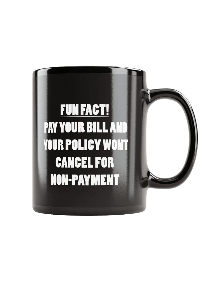 Fun Fact! product image (2)