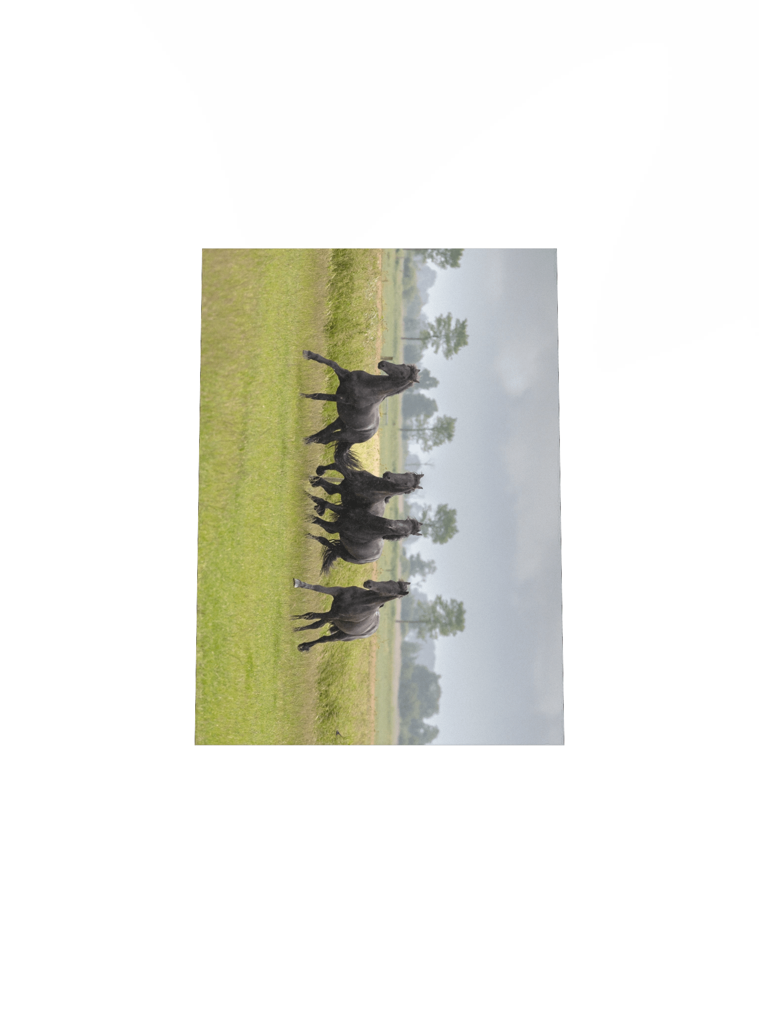 Wûnder, Willem, Wytse W & Wytse product image (5)
