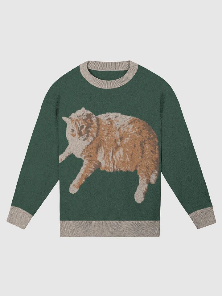 Harry Sweater product image (5)