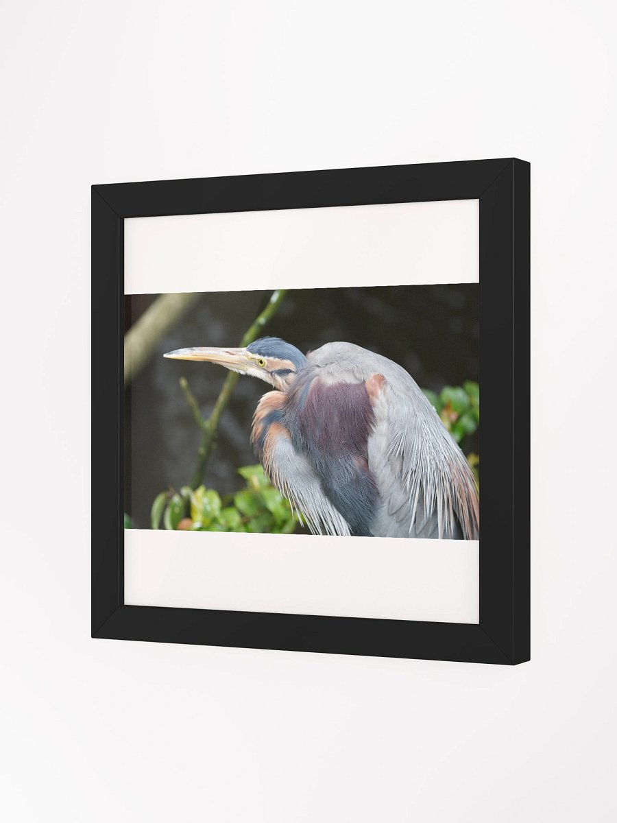 Vibrant Ayous Wood Framed Matte Poster product image (8)