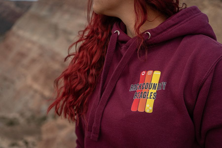 Backcountry Beagles Logo Hoodie product image (2)