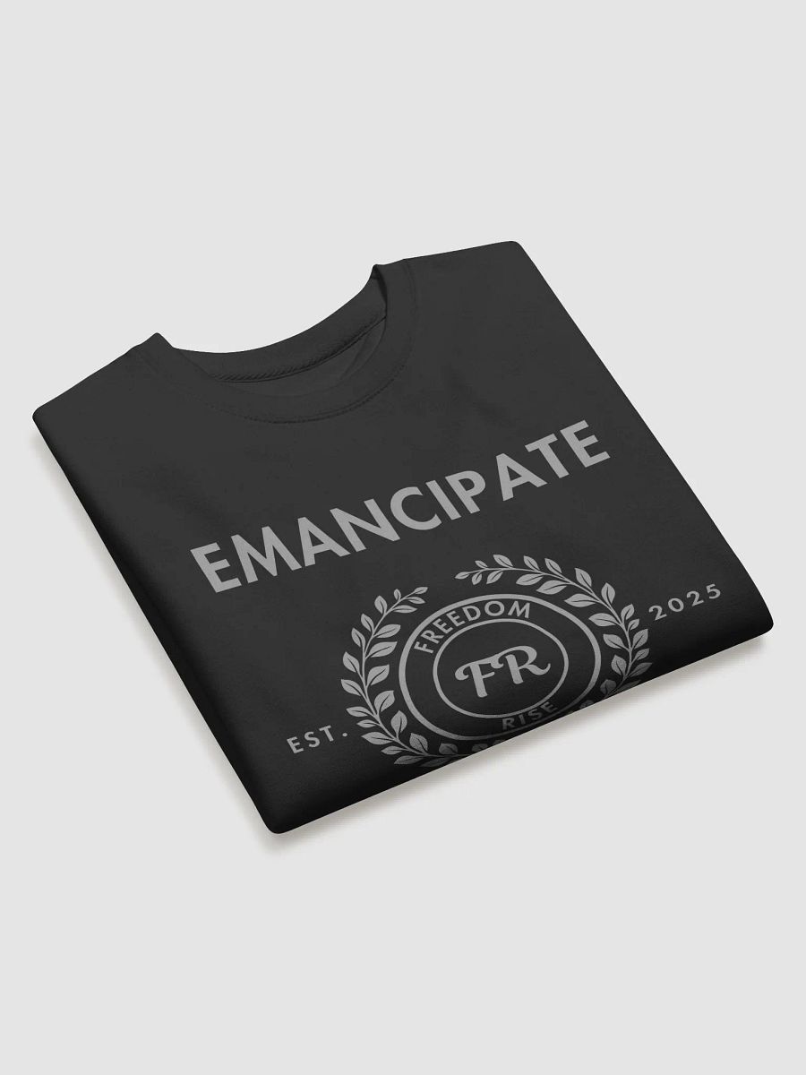Emancipate: Freedom Rise product image (7)