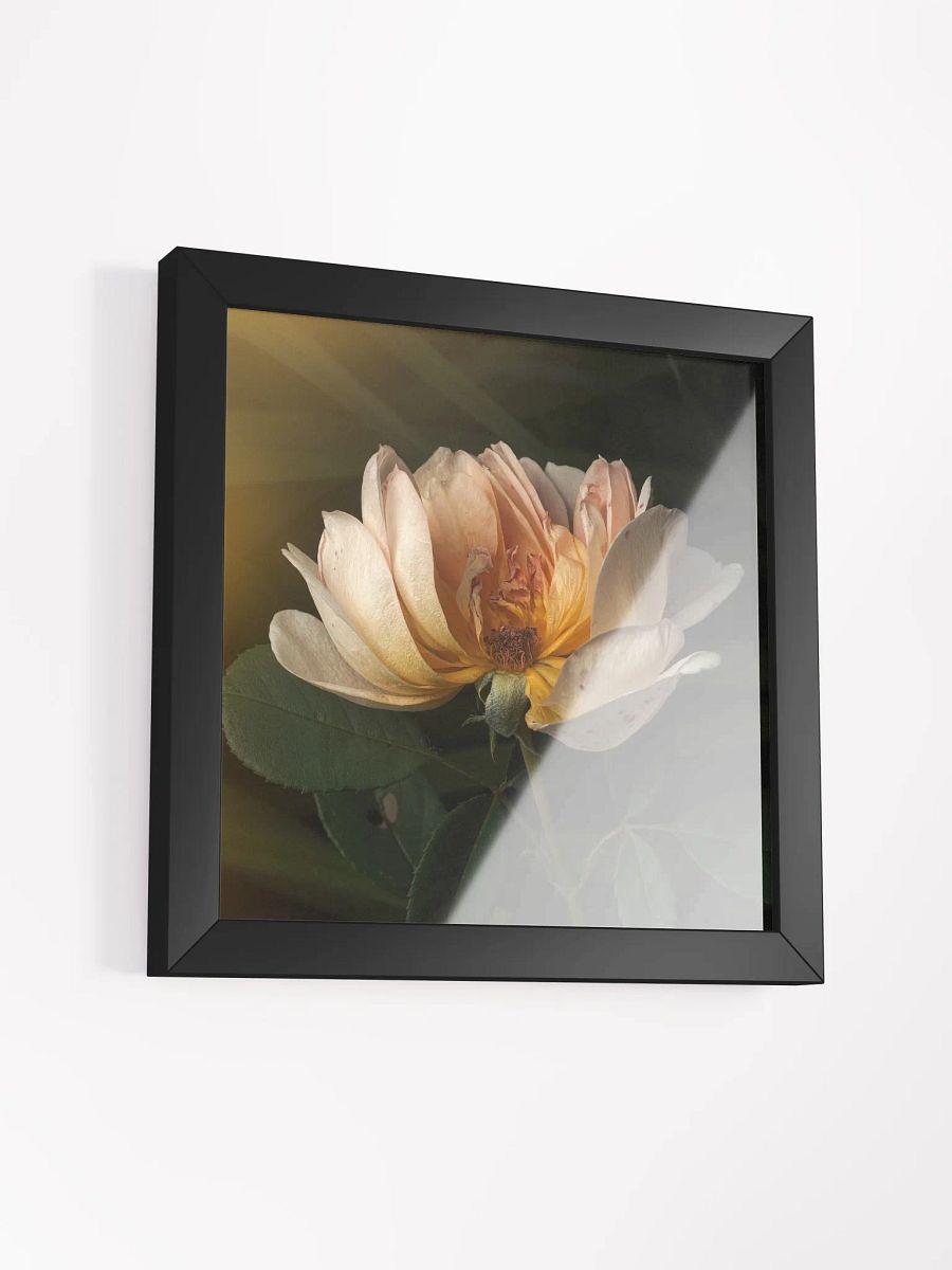 Half the Rose product image (2)