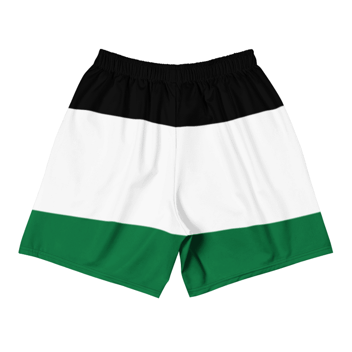 Palestine Flag Unisex Shorts product image (2)