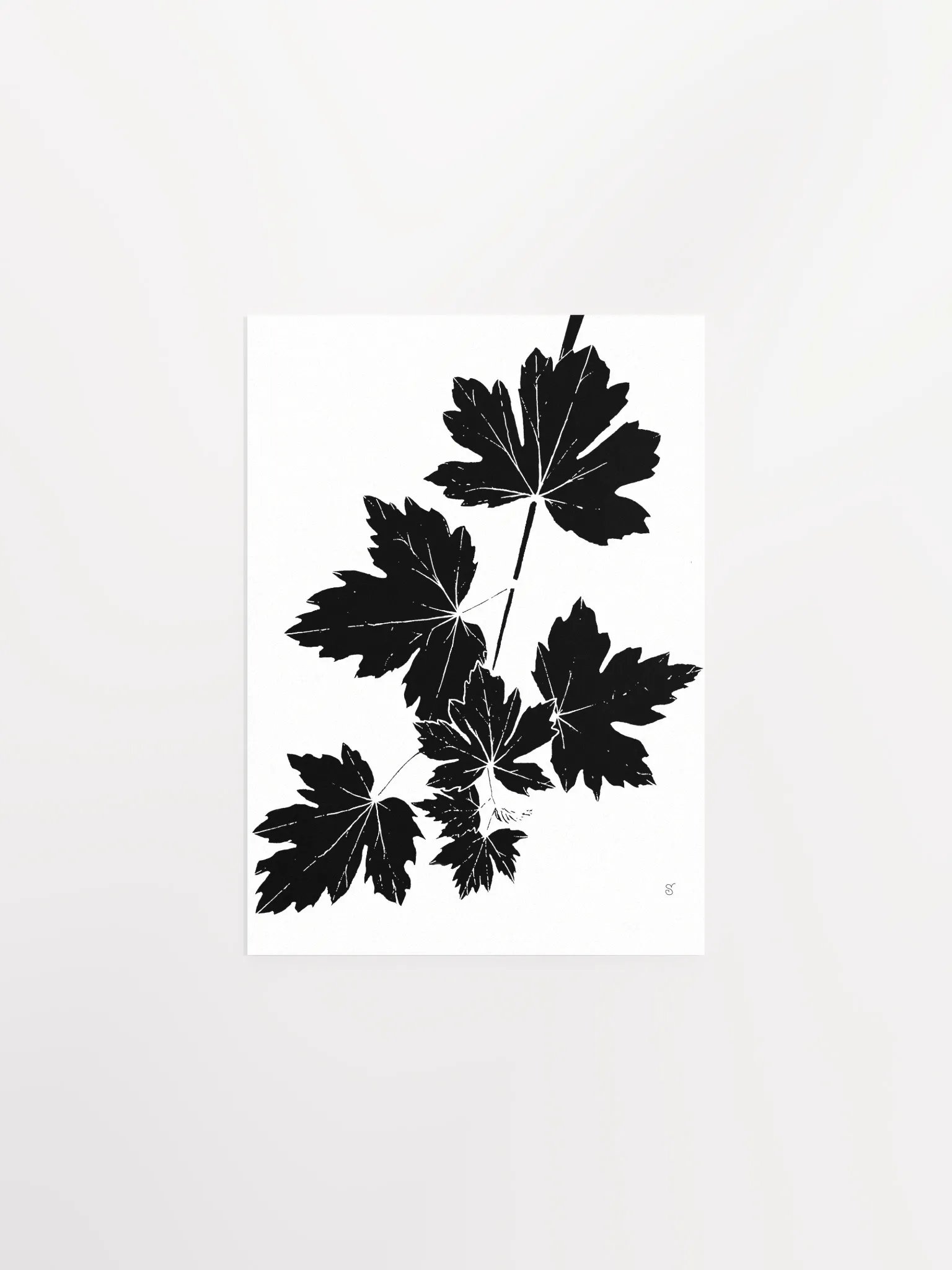 Luminous Leaf Cluster Matte Poster - Grape Leaves Light product image (1)
