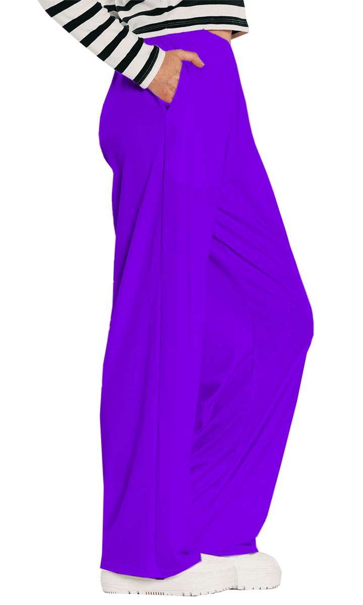 Plain Color Violet Wide-Leg Pants product image (1)