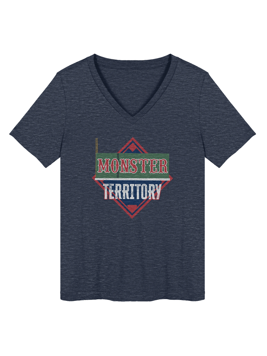 Women's V-Neck T-Shirt product image (7)