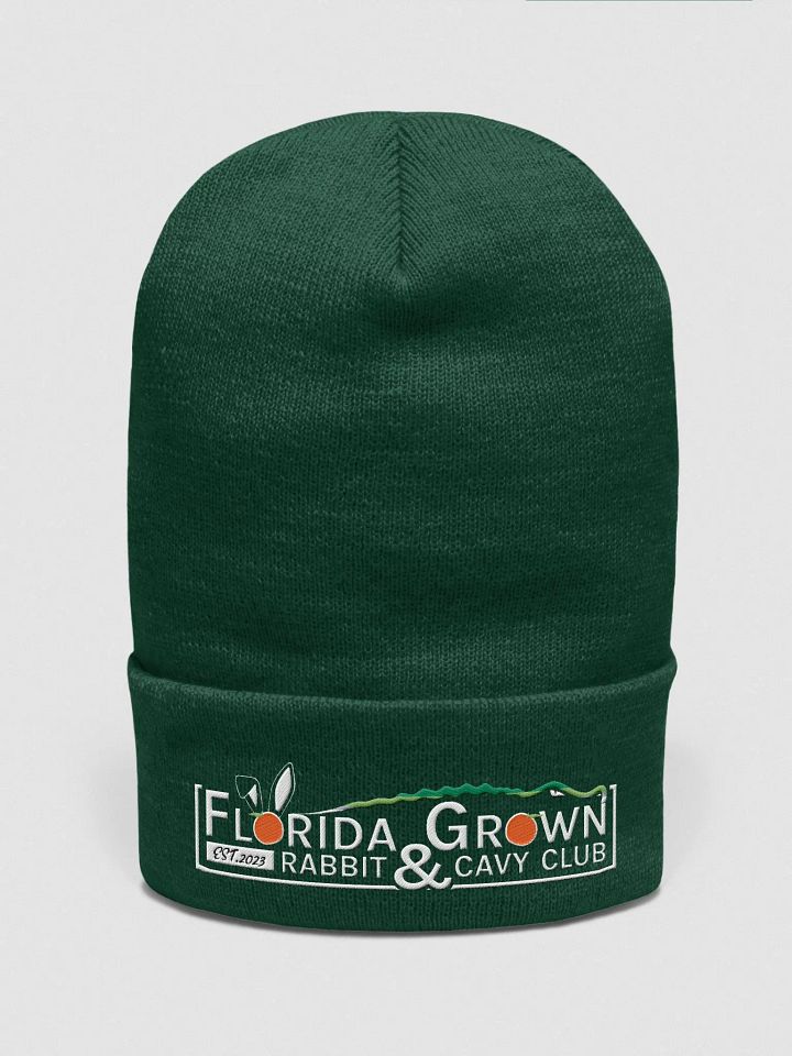 Florida Grown Hoodie Green product image (1)