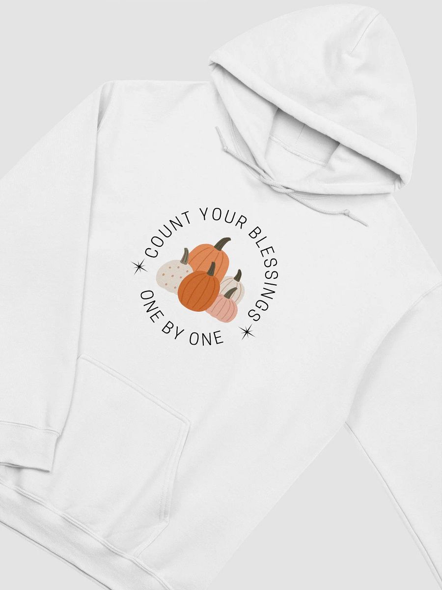 Count Your Blessings One by One Hoodie product image (6)