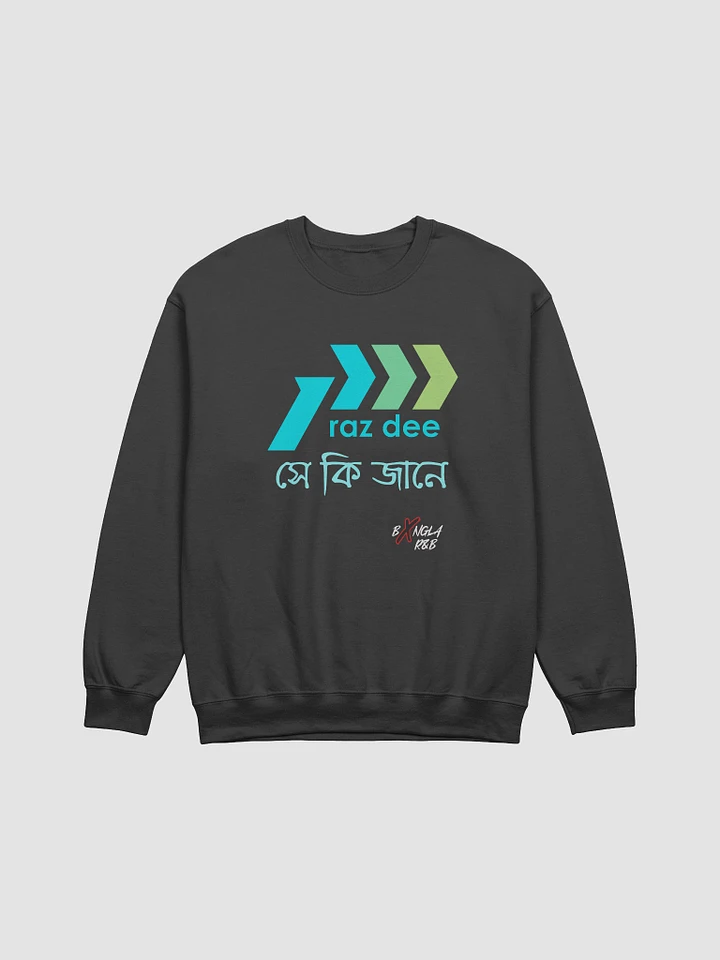 Shey Ki Janey Sweatshirt (Teal Green Accent) product image (1)