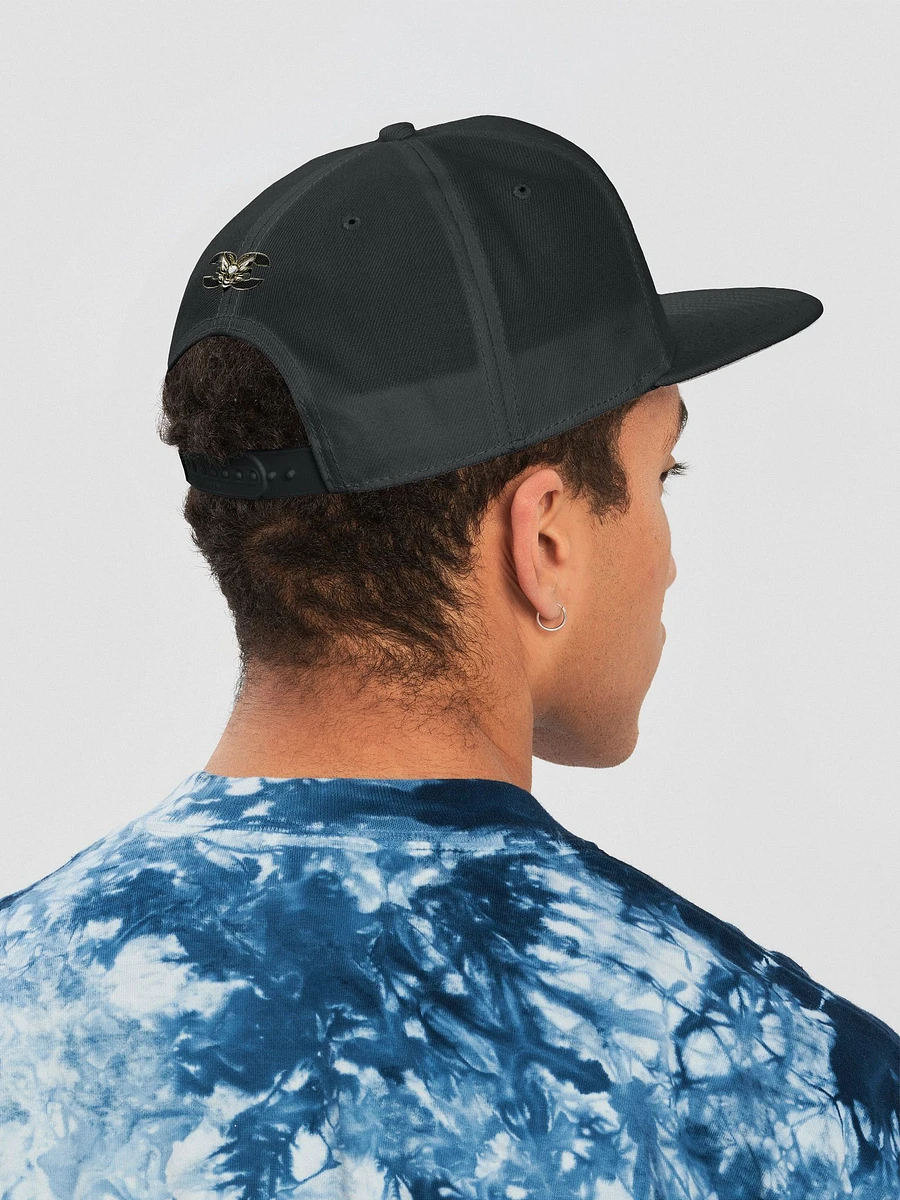 Dumblebee33 Signature Snap Back (Dark) product image (18)