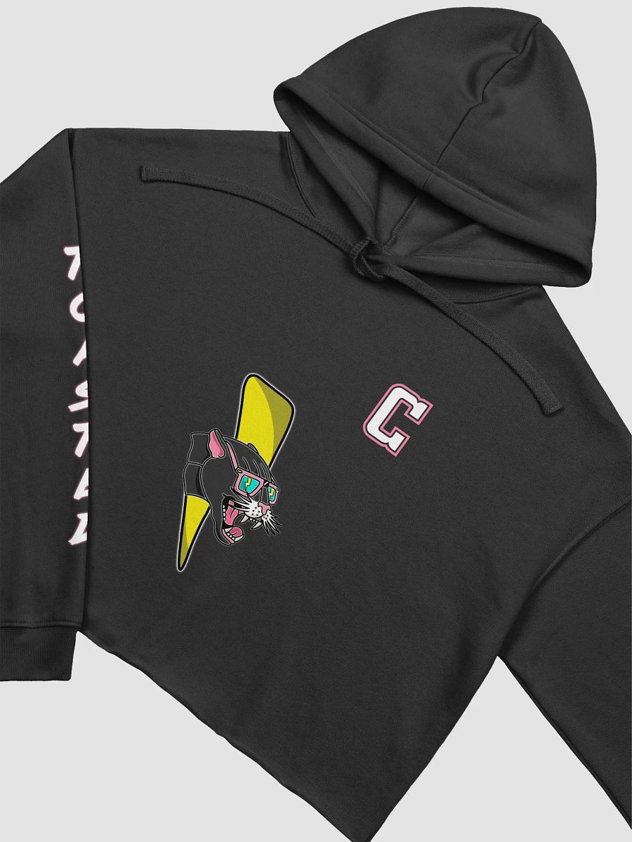 Toasted Thundercats Crop Hoodie product image (20)
