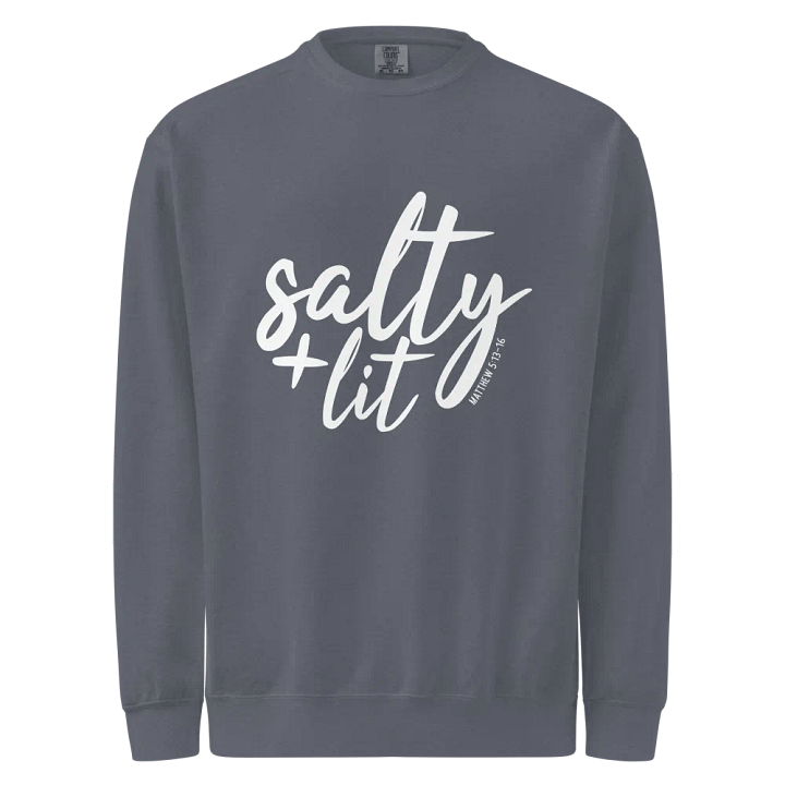 salty + lit crewneck product image (2)
