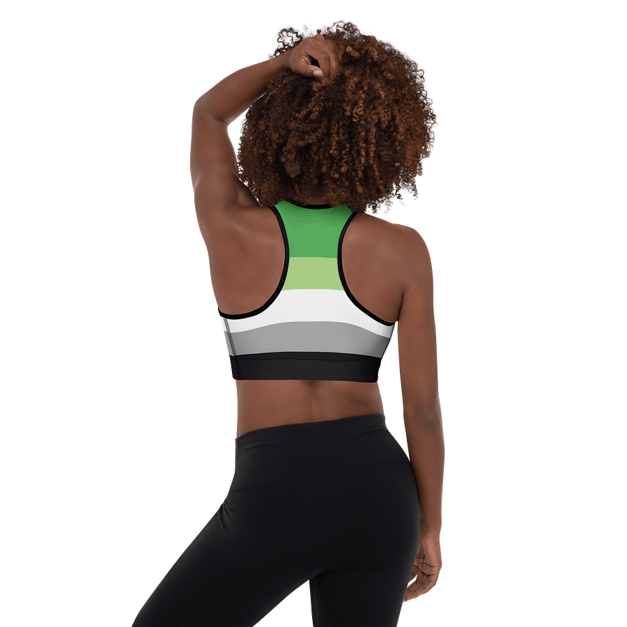 Aromantic Pride Flag Padded Sports Bra product image (2)