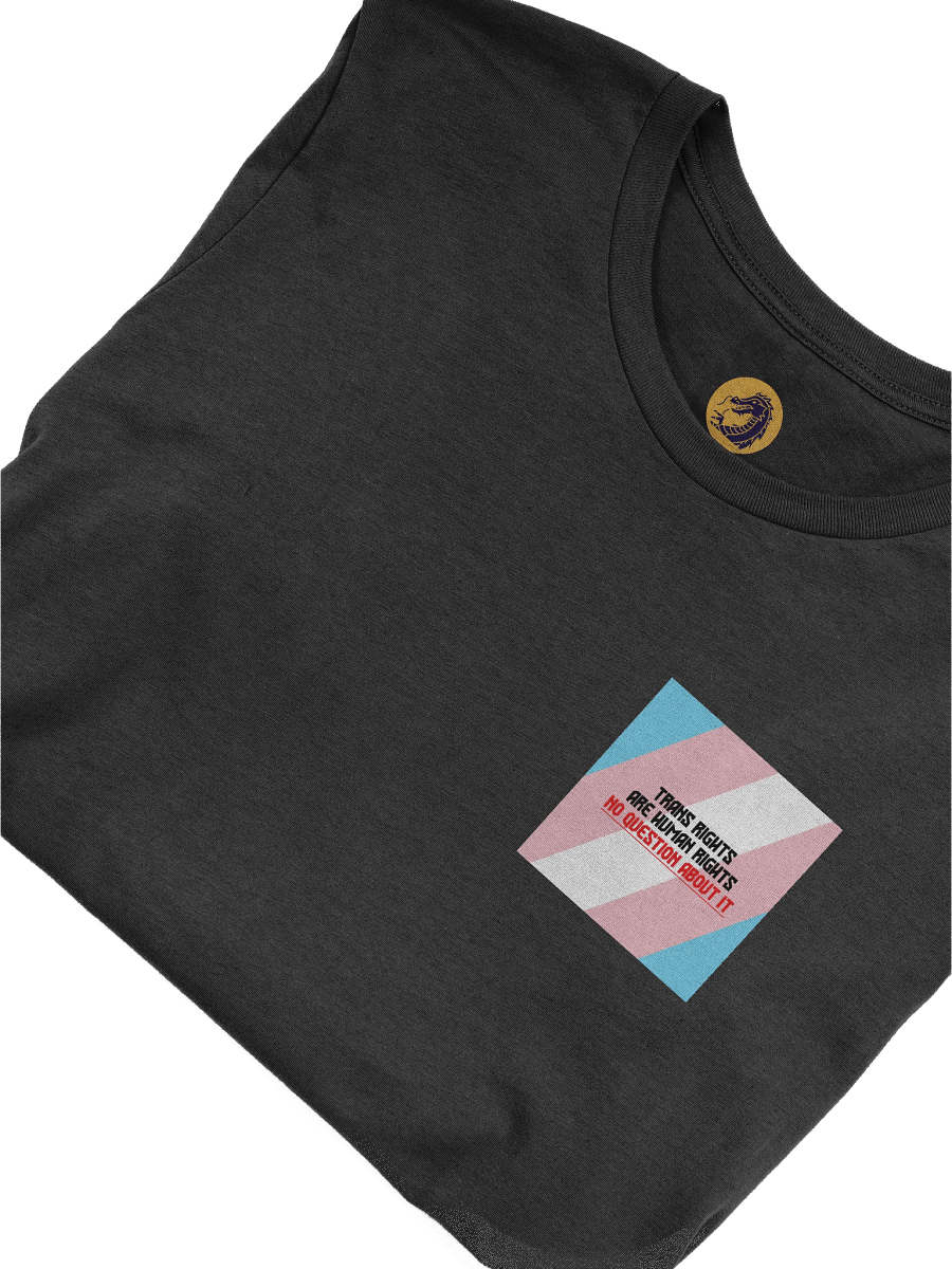 Trans Rights T-Shirt product image (5)