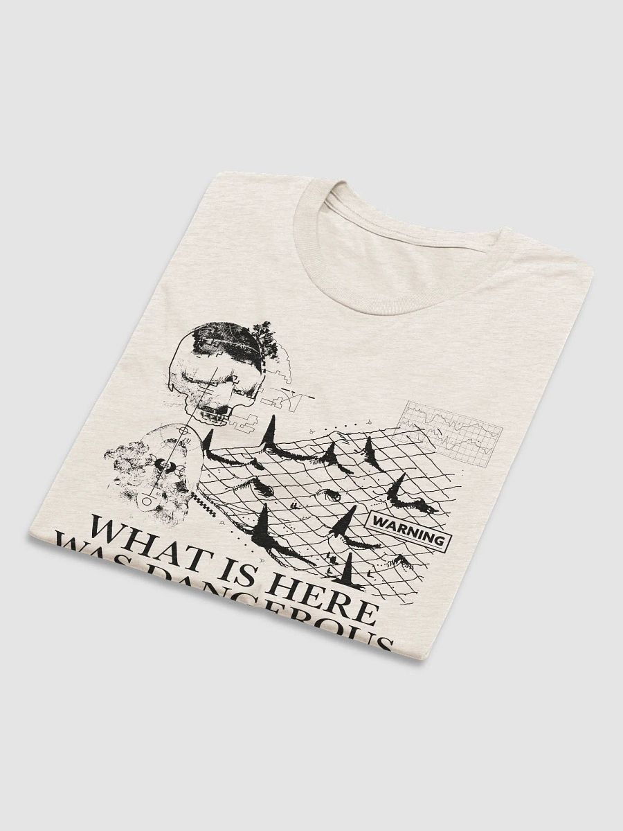WHAT IS HERE WAS DANGEROUS (black) product image (5)