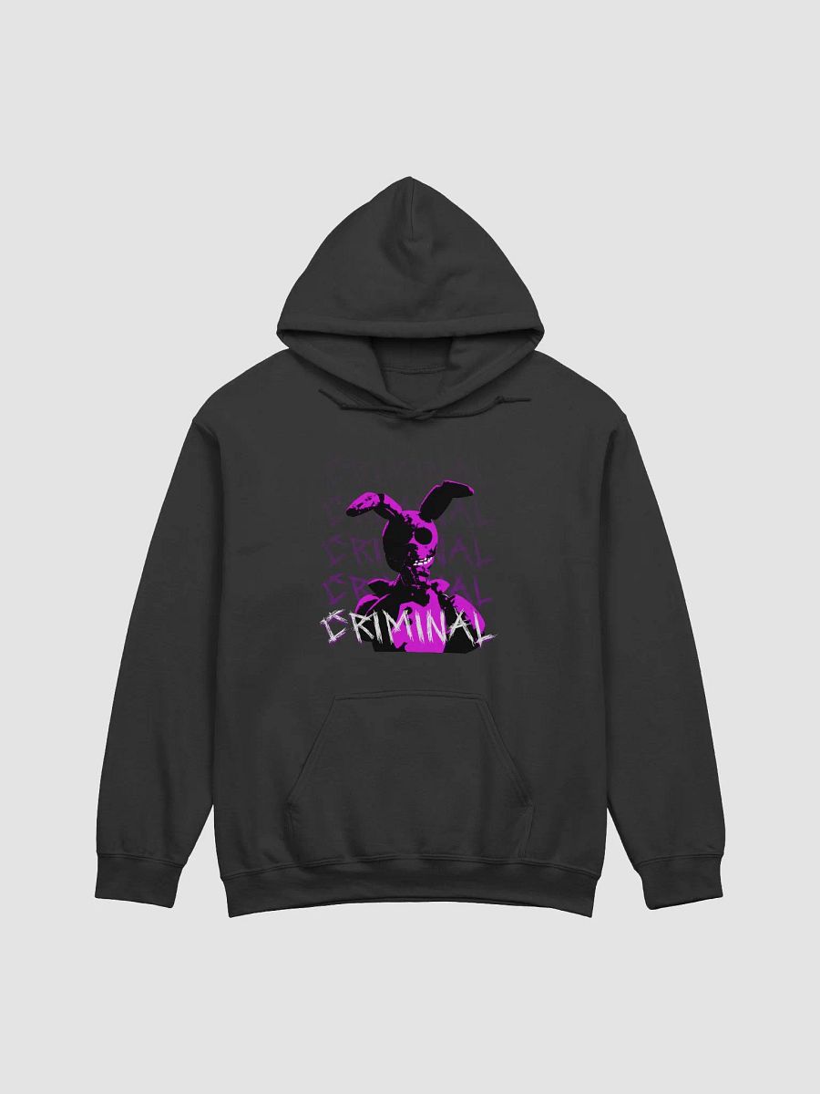 CRIMINAL + Springy Hoodie (DTG) product image (6)