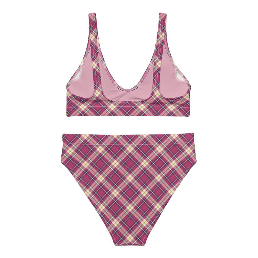 Raspberry Pink and Navy Plaid Bikini product image (4)