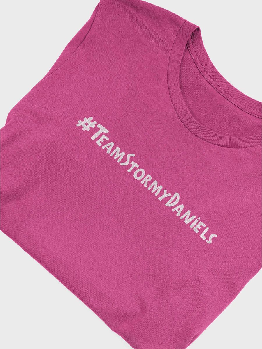 #TeamStormyDaniels product image (4)